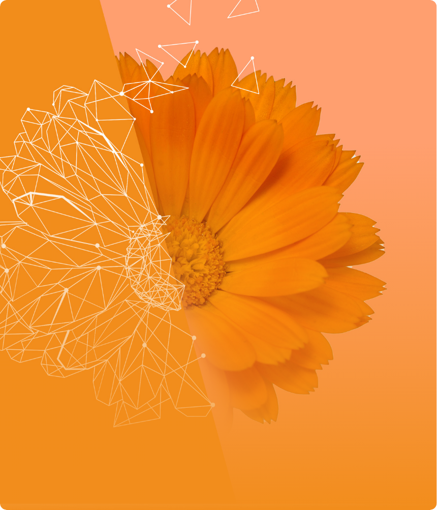 flipcard2